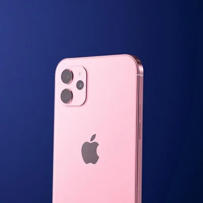 Back thumbnail
